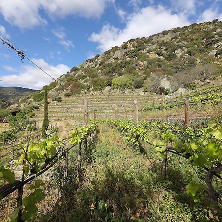 Penzion Quinta Da Ferradosa Wines São João da Pesqueira Exteriér fotografie
