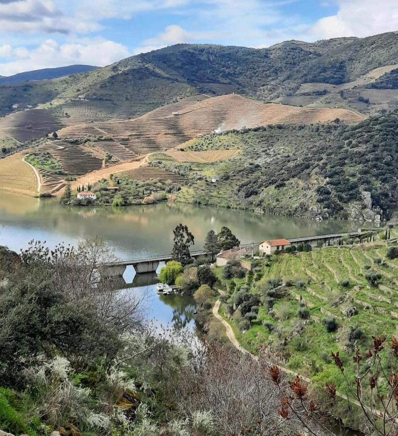 Penzion Quinta Da Ferradosa Wines São João da Pesqueira Exteriér fotografie