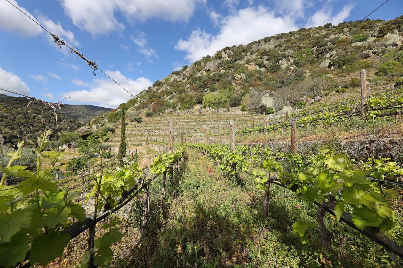 Penzion Quinta Da Ferradosa Wines São João da Pesqueira Exteriér fotografie