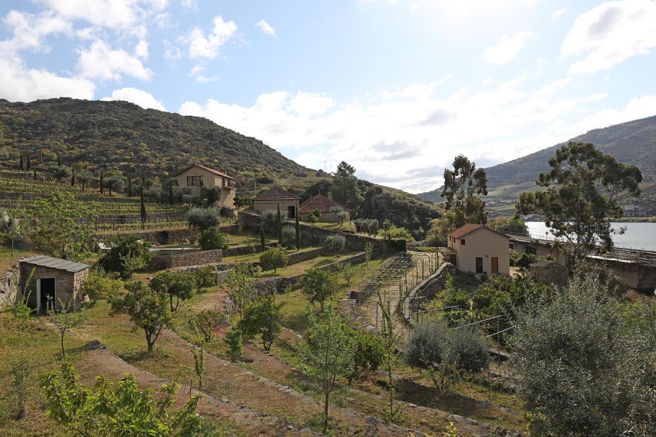 Penzion Quinta Da Ferradosa Wines São João da Pesqueira Exteriér fotografie