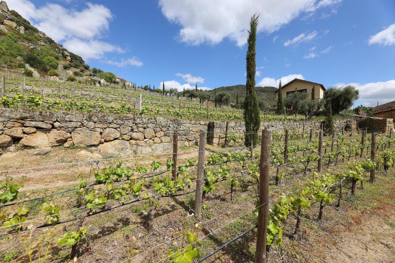 Penzion Quinta Da Ferradosa Wines São João da Pesqueira Exteriér fotografie