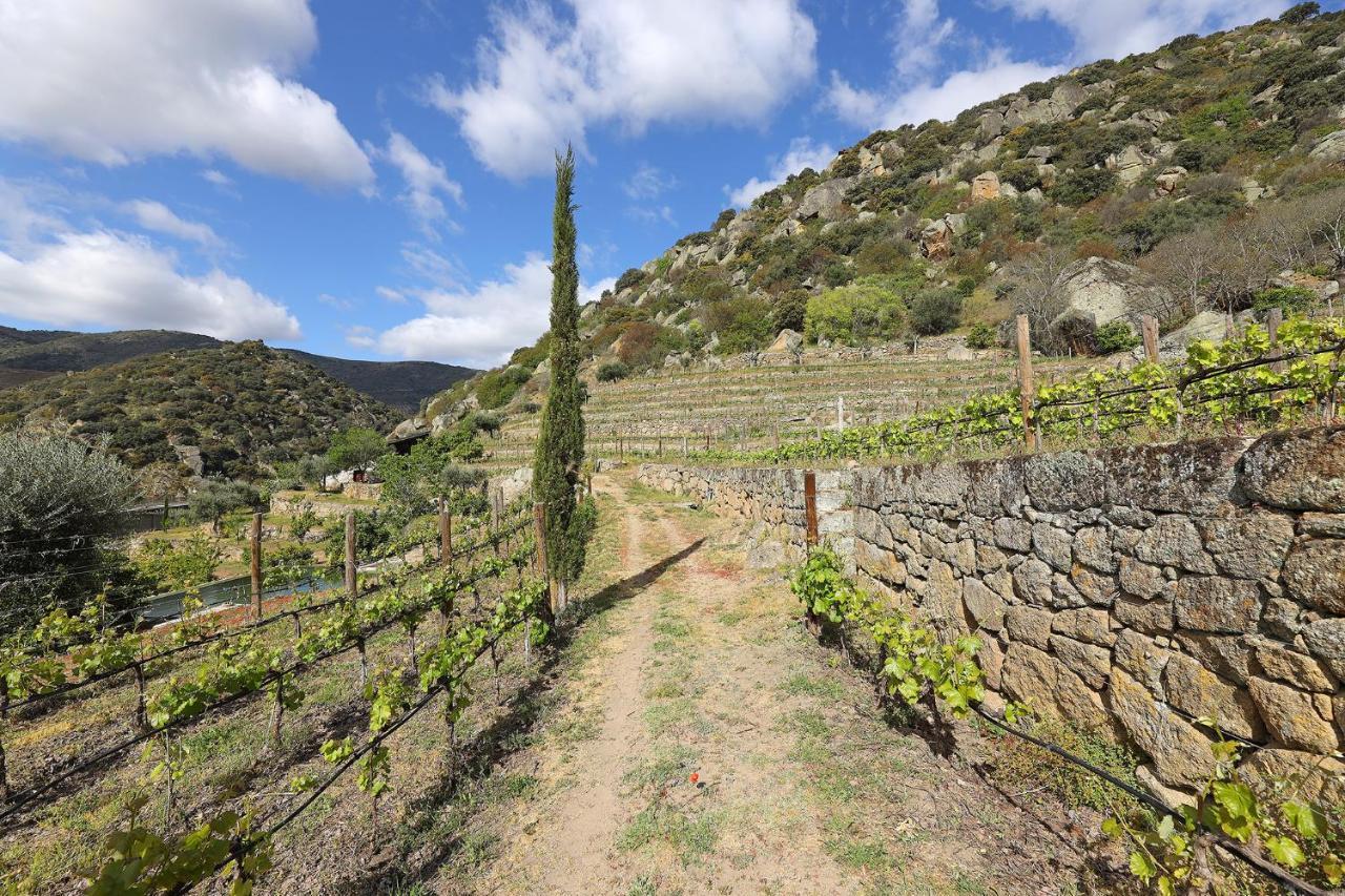 Penzion Quinta Da Ferradosa Wines São João da Pesqueira Exteriér fotografie